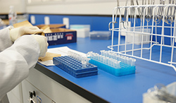 石家庄DNA鉴定机构准确可靠吗，石家庄血缘检测机构咨询预约