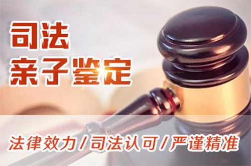 石家庄司法亲子鉴定如何做,石家庄权威司法亲子鉴定机构