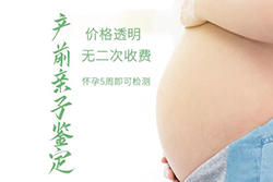石家庄怀孕期间如何办理胎儿亲子鉴定，石家庄办理无创孕期亲子鉴定多少费用