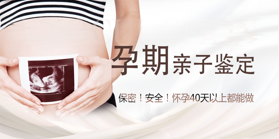 石家庄怀孕期间如何办理胎儿亲子鉴定,石家庄办理无创孕期亲子鉴定多少费用 石家庄怀孕期间如何办理胎儿亲子鉴定,石家庄办理无创孕期亲子鉴定多少费用