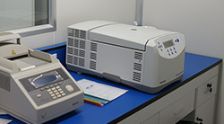 石家庄DNA亲子鉴定什么医院能做，石家庄医院做亲子鉴定详细流程